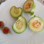 リタイア生活～ロングステイの地を求めて