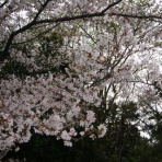 ○○が足りません