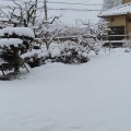 朝起きたら予想以上の大雪（太田市）