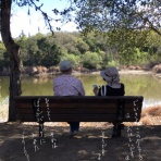 カリフォルニアのばあさんブログ