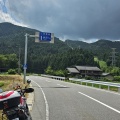 三河パトロール②　(*ΦωΦ*)にゃー