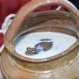 なんでか知らんけど昔のロシア人は牛乳に蛙を入れて保存していたって話