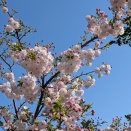 ハラスメントなんのその