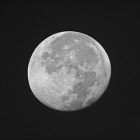 『投稿：センタームーン前夜～当夜＆パール富士　2021/10/28』の画像