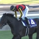 【競馬】年度代表馬はミュージアムマイルになるのか？