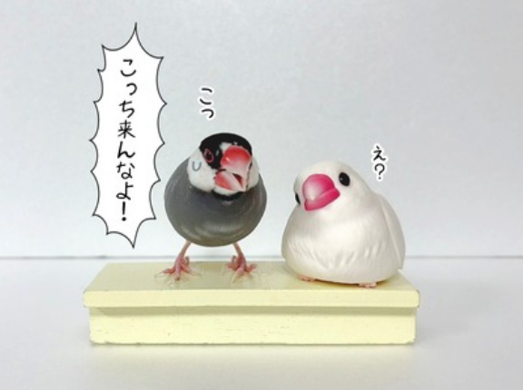 ちょっとヤバい奴