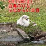 さいとう武次郎の日記【倉敷市議会議員】