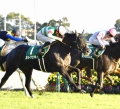 【中日新聞杯2025予想】