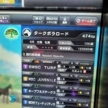 『【雑記9】スカイターフ4頭挑戦!』の画像