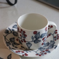 【フロストベリー】無農薬だとさらにいいね♪人気と聞いて懐かしくなって！