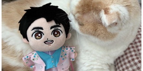 猫だらけ - こひろみくん（郷ひろみさんのぬいぐるみ） Powered by