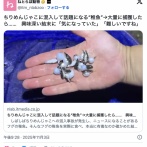 YouTuber「フグ、丸ごと食べてみた」