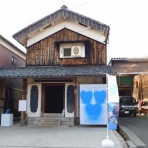 ビワコオオナマズ飼育日記