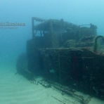 南紀白浜「ミスオーシャンダイビングサービス」今日の海ログ