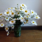 remmikkiのブログ