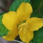 一日一日を大切に