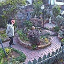 庭に居るのが好き