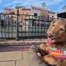 愛犬家に優しすぎる楽園『ポルトヨーロッパ』、『番所庭園』に行ってきました