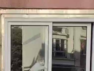 【器用すぎ！】 ドアの上には窓が付いていた。今日も散歩に行こうかな♪ → 猫、脱走５秒前です…