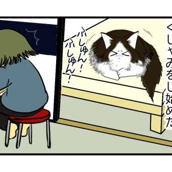 【猫との暮らし】省エネより節約より猫様が大事