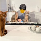 聞き慣れない音にイカ耳の猫たち