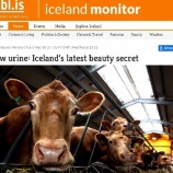 『牛さんのおしっこ、アイスランド美容』の画像