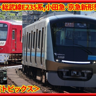 湘南色の部屋（Shonan-color train）