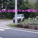 『【仁淀川友釣り日記その1と2】祝仁淀解禁』の画像