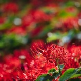 『古い友人と電話で話した～健康寿命への不安』の画像