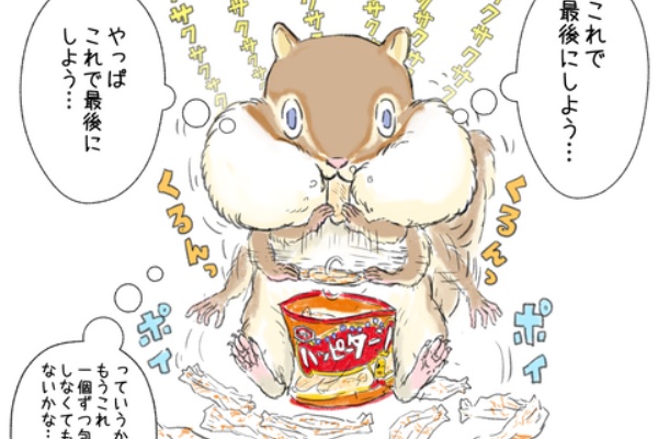 こさつねブログ リス