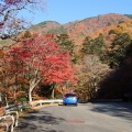 紅葉狩りドライブ🍁もみじライン～鬼怒川温泉