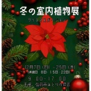 冬の室内植物展