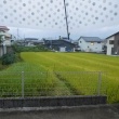 夕方　傘をさして散歩