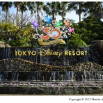 ディズニー写真ブログ