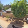 【衝撃動画】クマが民家の塀をよじ登って家に侵入　→　女性がとんでもない行動に出て見事撃退してしまうｗｗｗｗｗ地上最強すぎるだろｗｗｗｗｗ
