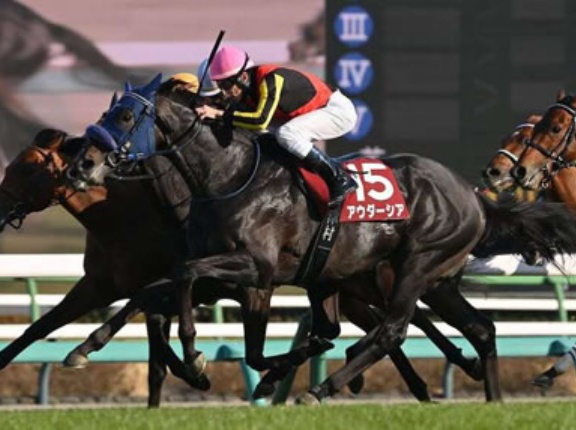 アウダーシア乗り捨てた騎手がいるらしいw w w w w