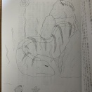 ビカミングワン・ネモ　28〜37ページ