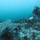 11.5 南房総西川名3ボートダイビング！