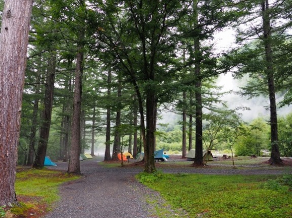 誰もいない深夜の無料キャンプ場行ったけど怖すぎて駄目だった