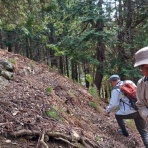 鎌刃城公式サイト