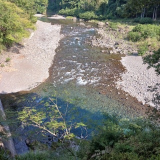 つり吉オヤジの日高川龍神鮎・あまご情報