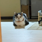 いつかのさんた 今日のみゅう