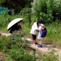 親子でバラ観察会'26 ④