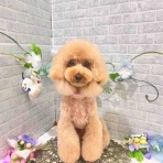 ゆうなぎ動物病院