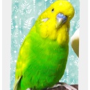 ありがとうございました