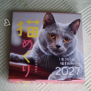 湘南凸凹柴WAN日記