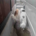 ハッピーバースデー