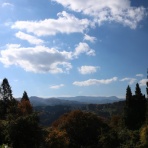 松之山温泉山の森のホテル　ふくずみ