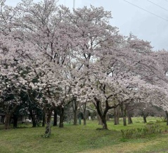 所沢市　大戸屋ごはん処