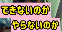 オマエもか。